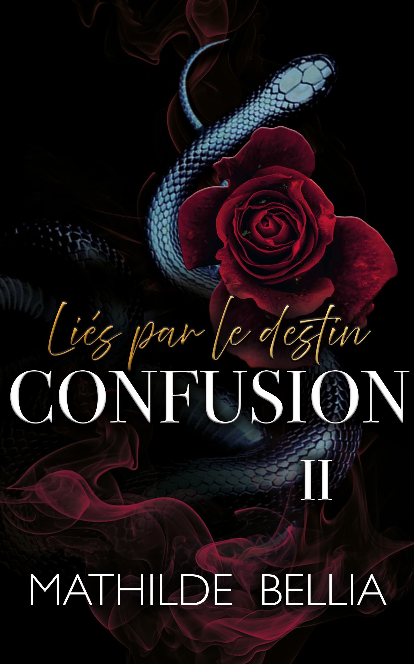 1ère de couverture de Liés par le destin tome 2 Confusion